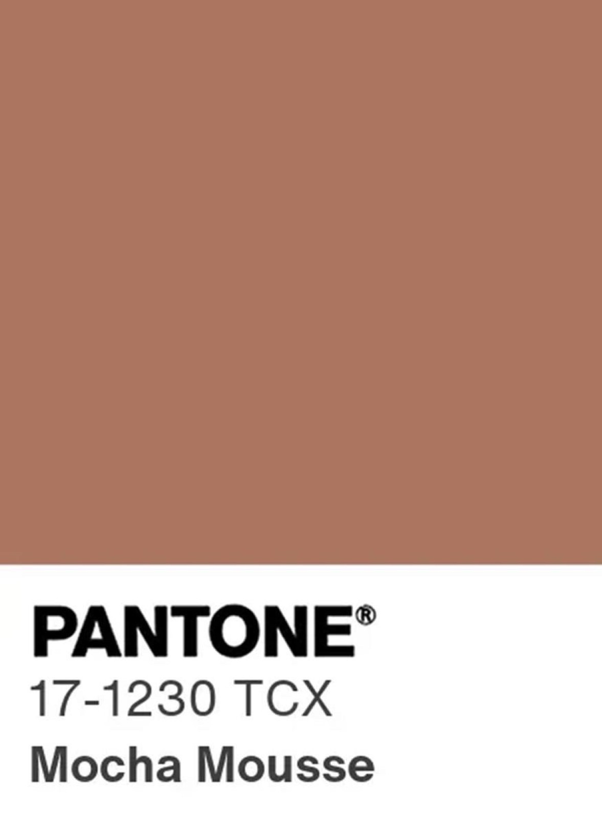 Quelles sont les tendances peinture 2025 en France à Toulouse : Blanc Polaire vous présente sa palette hivernale